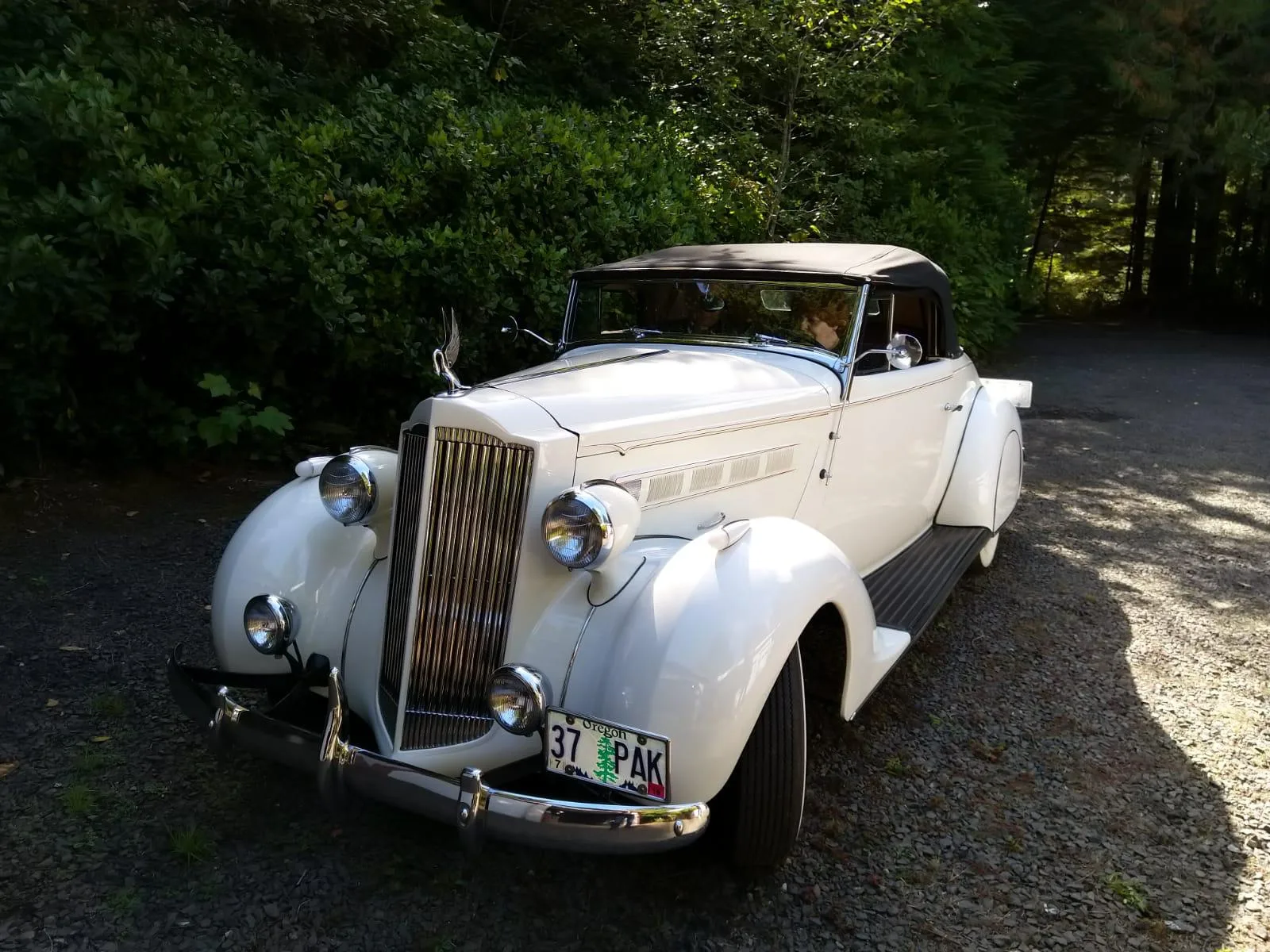 Packard Convertible Coupe (1937) – foto 11